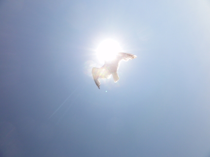 20110529 173713